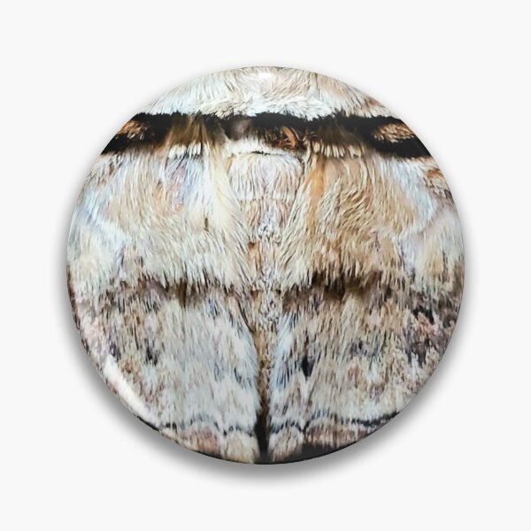 Item preview, Thysania zenobia texture designed and sold by ArteAnnie.