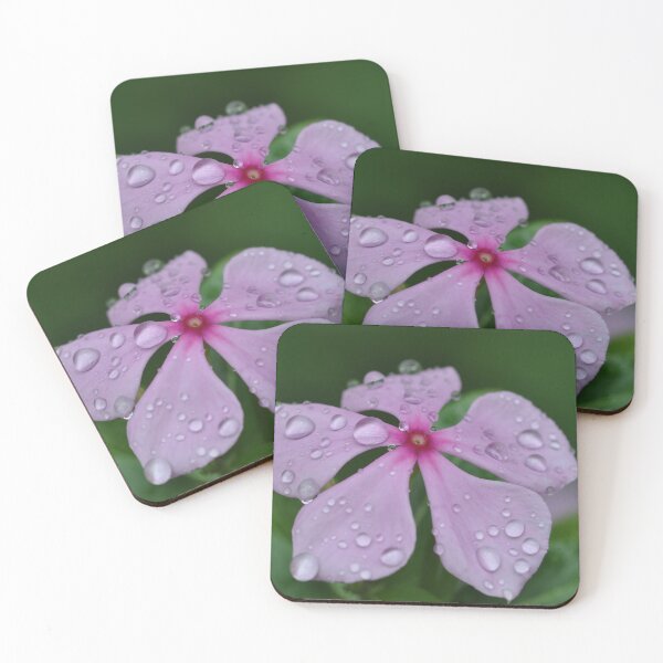 Item preview, Just after rain designed and sold by Jagadeesh Sampath.