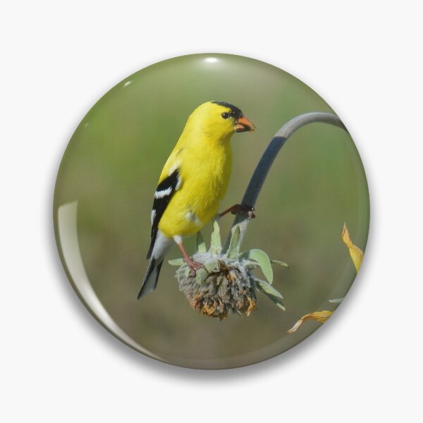 Item preview, American Goldfinch plays on a flower designed and sold by birdsofthePNW.