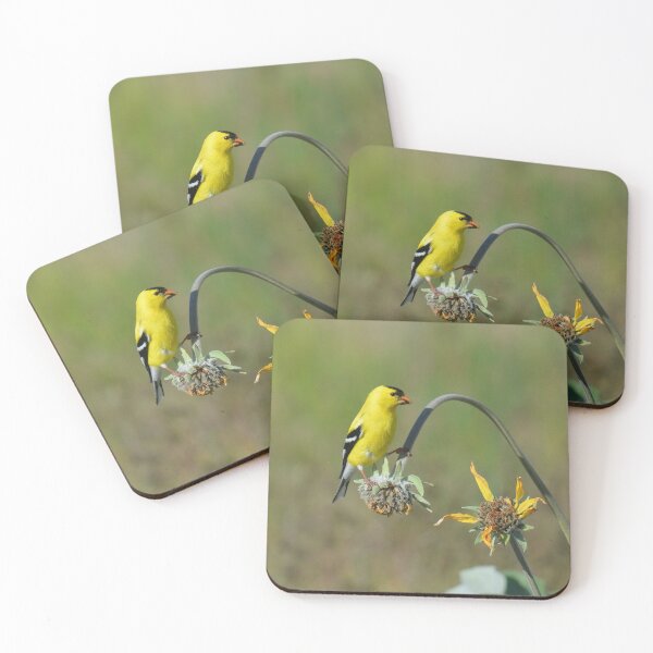 Item preview, American Goldfinch plays on a flower designed and sold by birdsofthePNW.