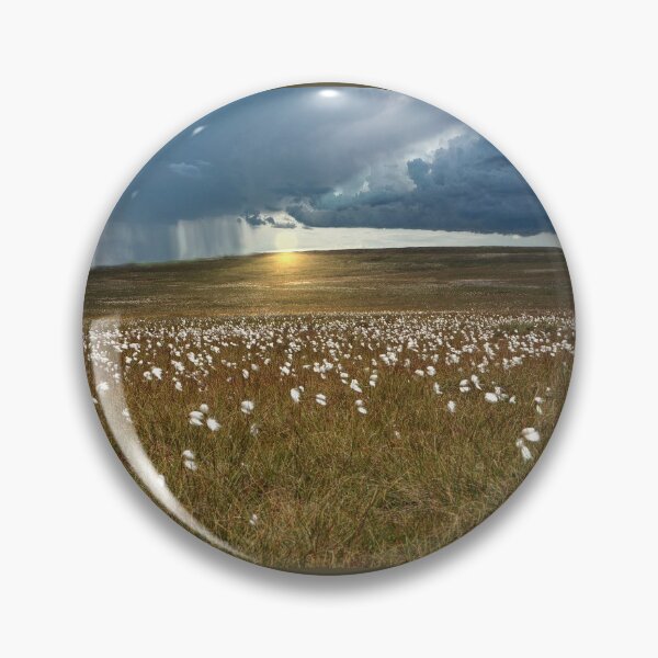 Item preview, Moorland Cotton Grass designed and sold by Alisonchambers2.