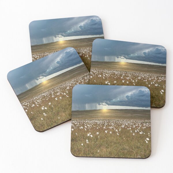 Item preview, Moorland Cotton Grass designed and sold by Alisonchambers2.