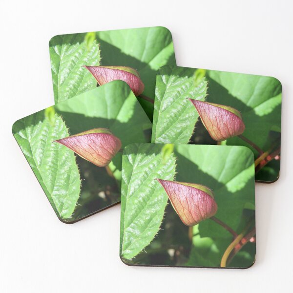 Item preview, flower bud designed and sold by KathleenDawson.