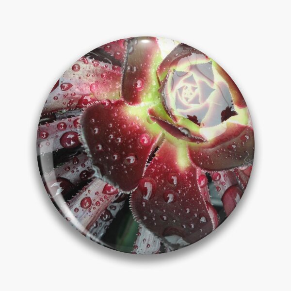 Item preview, Succulent designed and sold by Rebecca-Art.