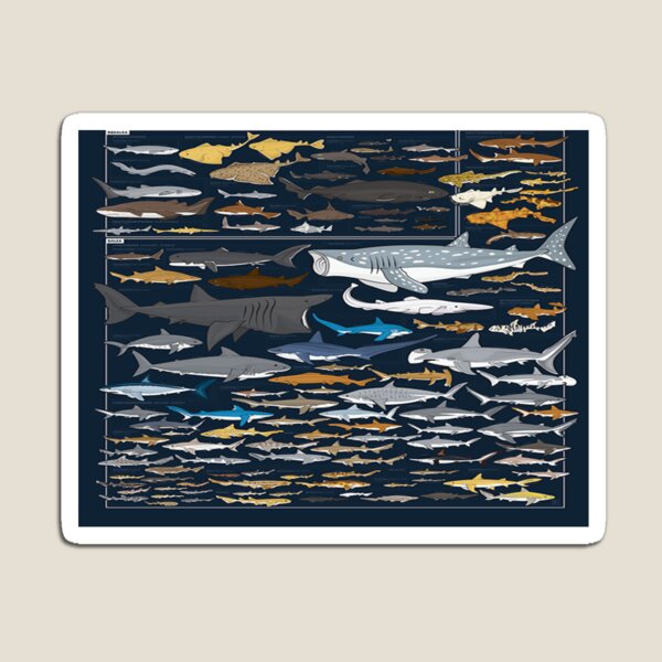Item preview, Title: Sharks of the World - Charting the Diversity of Global Shark Species designed and sold by Dubage603.