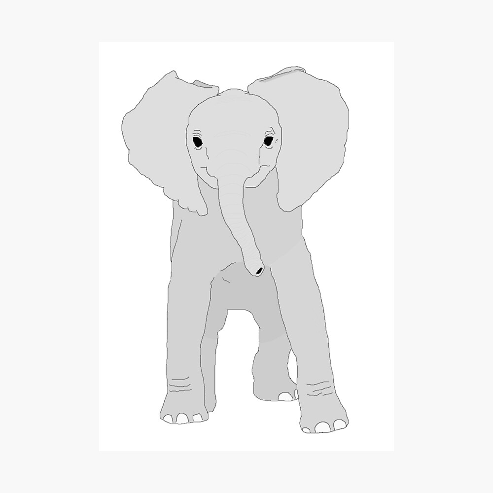 Baby Elephant Cartoon Baby Elephant Cartoon