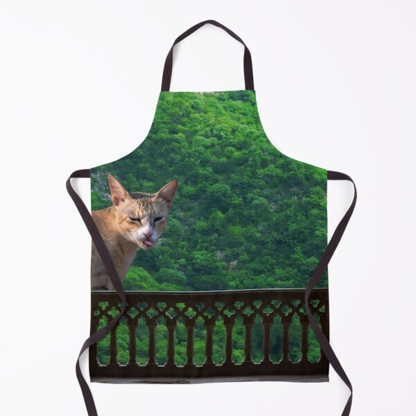 Item preview, Cat near the window making funny face designed and sold by VeenaNair23.