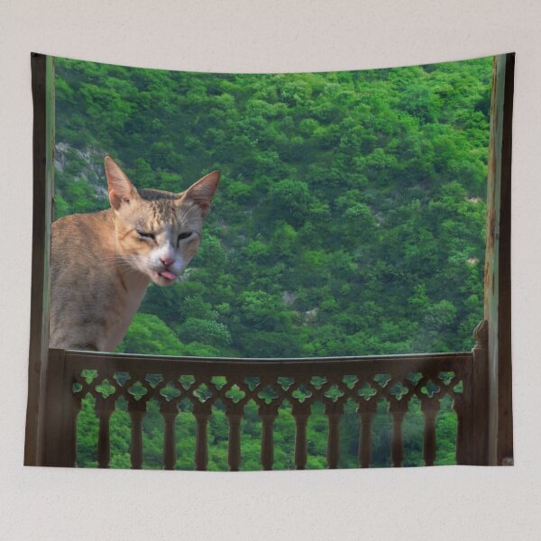 Item preview, Cat near the window making funny face designed and sold by VeenaNair23.