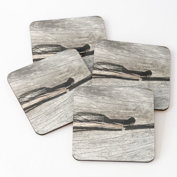 Item preview, Tree stumps designed and sold by elaine-gregers.