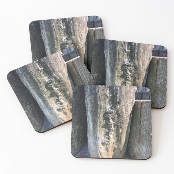 Item preview, Tree stumps designed and sold by elaine-gregers.