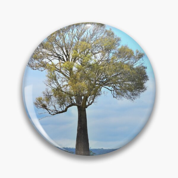 Item preview, Bottle Tree QLD Landscape designed and sold by TsPhotographyQ.