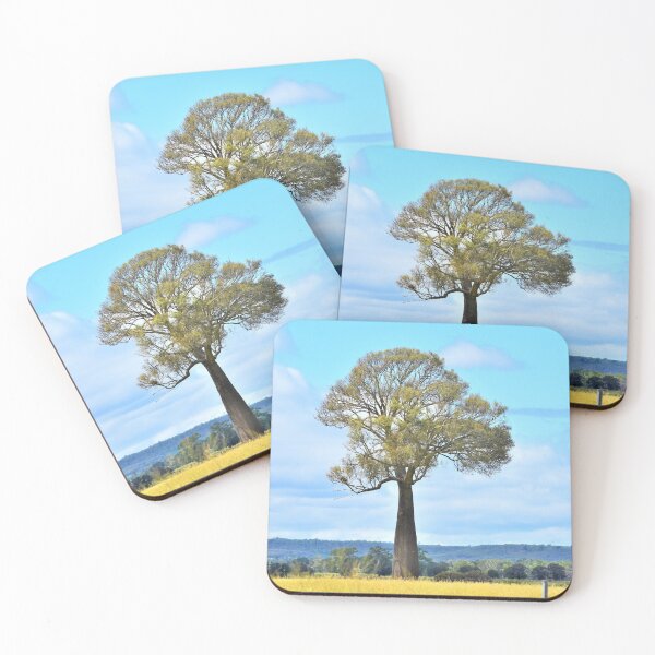 Item preview, Bottle Tree QLD Landscape designed and sold by TsPhotographyQ.
