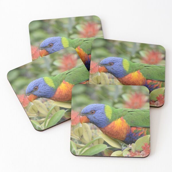 Item preview, Rainbow Lorikeet  designed and sold by TsPhotographyQ.