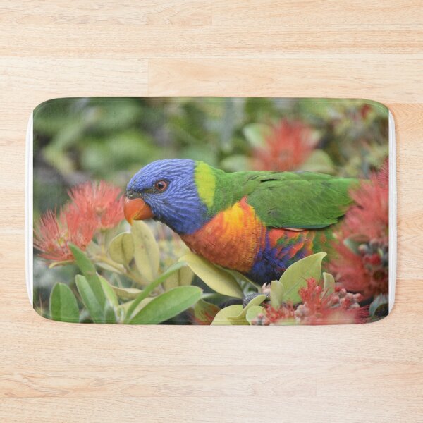 Item preview, Rainbow Lorikeet  designed and sold by TsPhotographyQ.
