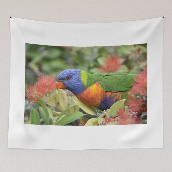 Item preview, Rainbow Lorikeet  designed and sold by TsPhotographyQ.