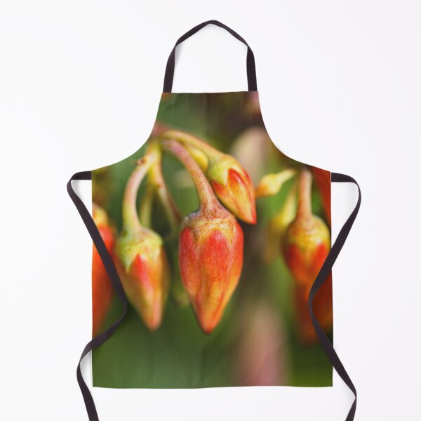 Item preview, Cactus Blooms Variety Pigs Ear designed and sold by Joy Watson - Natural Light Photography .