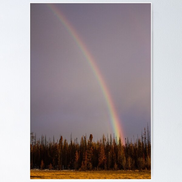 Item preview, Midwinter Rainbow designed and sold by Patrick McCormick.