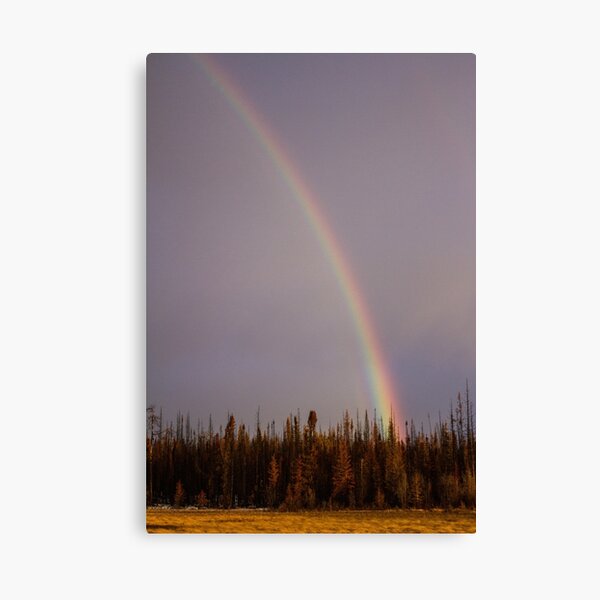 Item preview, Midwinter Rainbow designed and sold by Patrick McCormick.