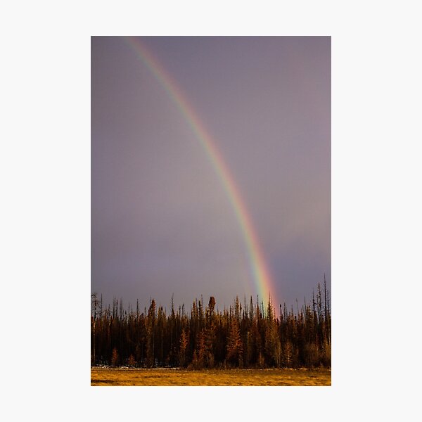 Item preview, Midwinter Rainbow designed and sold by Patrick McCormick.