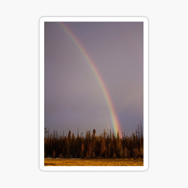 Item preview, Midwinter Rainbow designed and sold by Patrick McCormick.