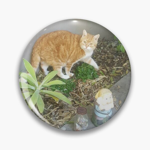 Item preview, Cat Friend designed and sold by KittenFlower.