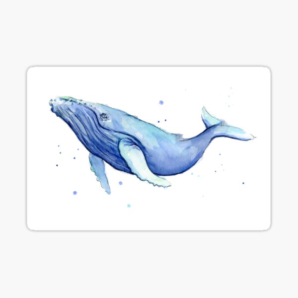 Humpback Whale Blue Watercolor Painting Sticker
