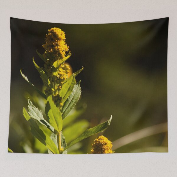 Item preview, Goldenrod in the Sunlight designed and sold by griffingphoto.