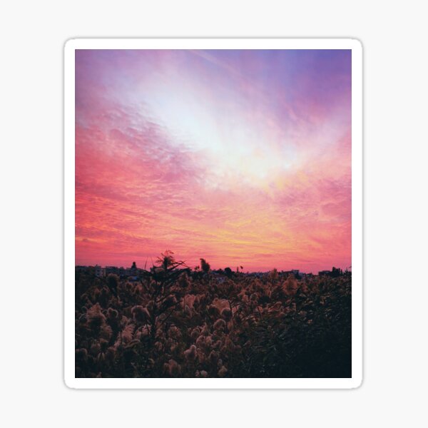 A wonderful sunset by the salt lake Sticker
