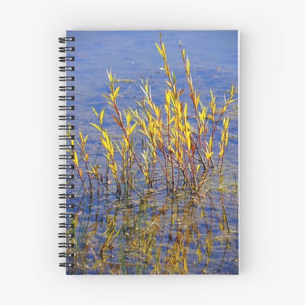 Item preview, In the Shallows designed and sold by Harry Oldmeadow.