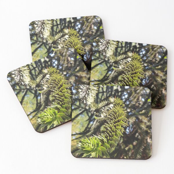 Item preview, Monkey Puzzle Tree designed and sold by LauraO31.
