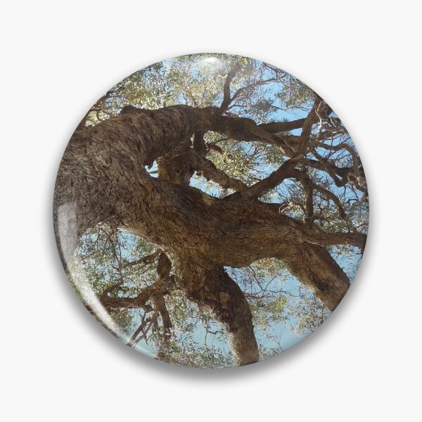 Item preview, Tree, Australia designed and sold by Roz-Design.