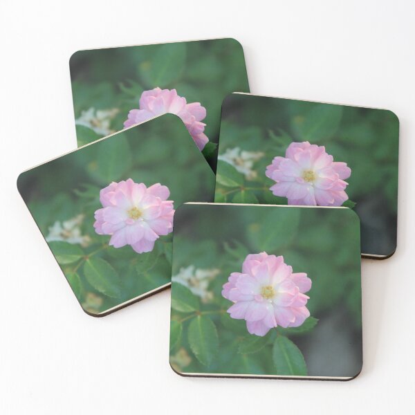 Item preview, The Pink Rose - Floral Pattern Photograph designed and sold by Tatzki-Design.