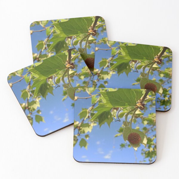 Item preview, Summer through branches designed and sold by Hyawattar4i.