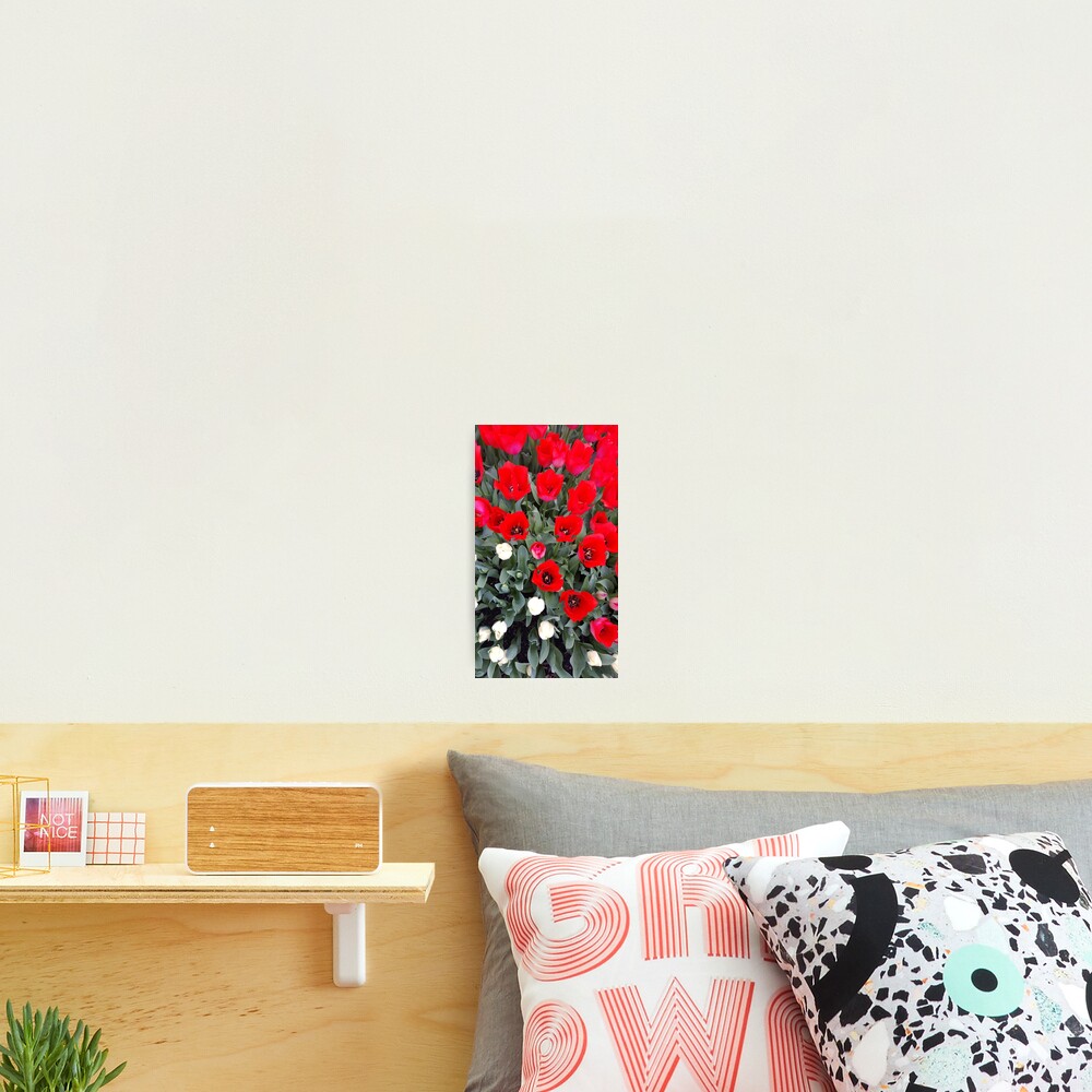 Item preview, Photographic Print designed and sold by Roz-Design.
