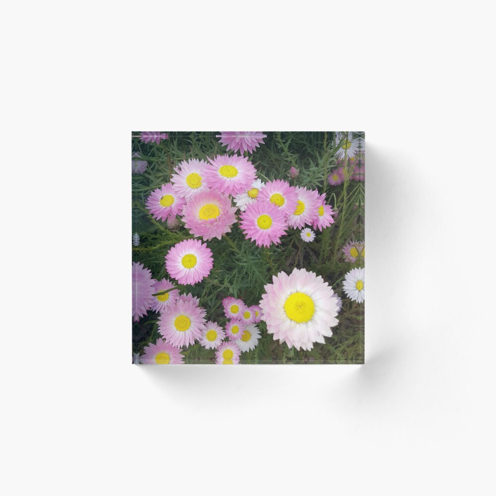 Item preview, Acrylic Block designed and sold by Roz-Design.