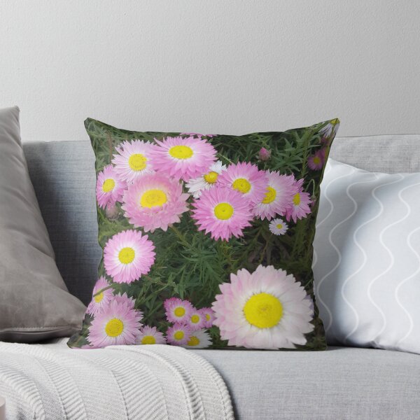 Artikelvorschau, Rosa Everlastings entworfen und verkauft von Roz-Design.