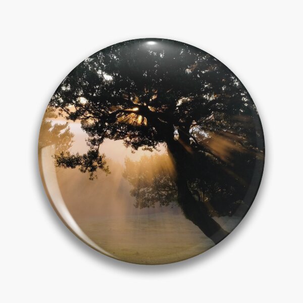 Item preview, Madeira Golden Sun designed and sold by LukeConroyPhoto.