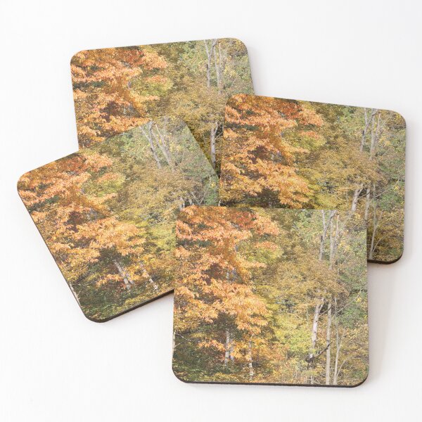 Item preview, Beautiful Fall Day designed and sold by stefanie patty.