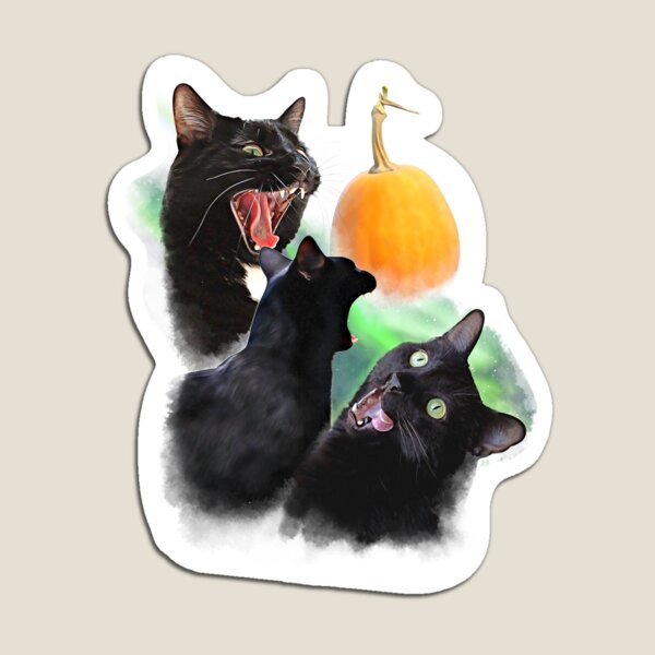 3 Yawning Cats Magnet
