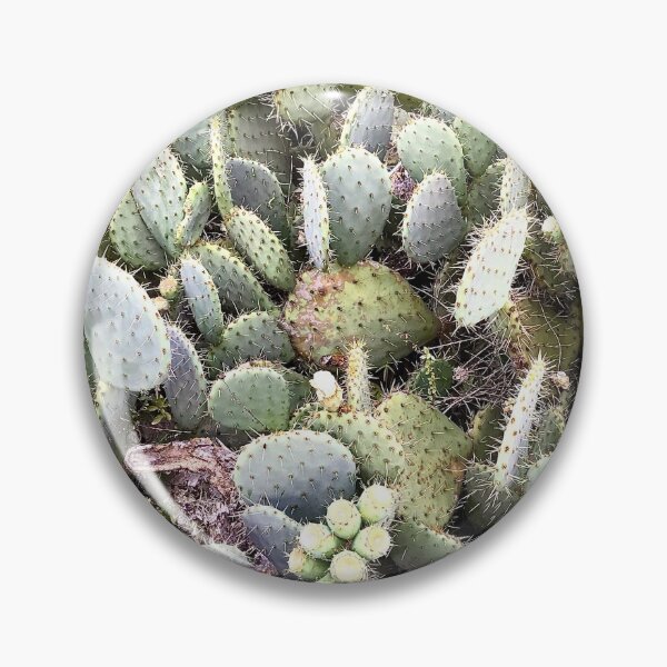 Item preview, Green cactus  designed and sold by nicolebg.