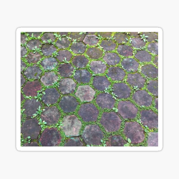 Pattern paving blocks and the grass Sticker