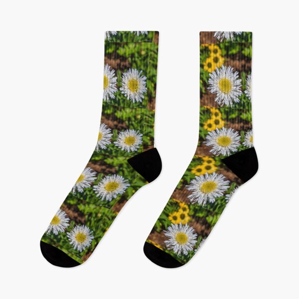 Item preview, USA. Philadelphia. Philadelphia Flower Show 2021. Daisies. designed and sold by vadim19.