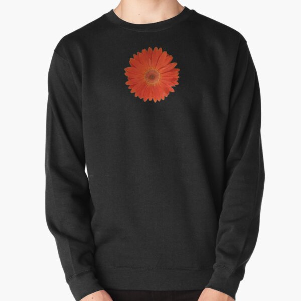 Vibrant Orange Gerbera Daisies in a black background. Vibrant orange flowers Pullover Sweatshirt
