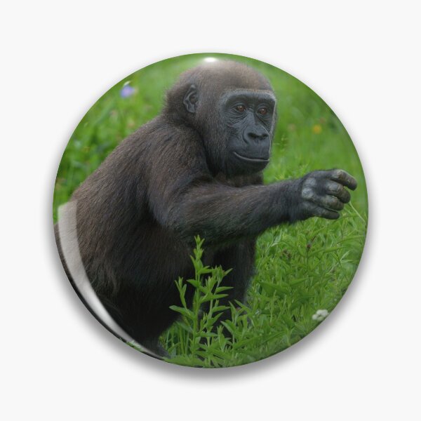 Item preview, Gorilla Reaching Out designed and sold by rawshutterbug.