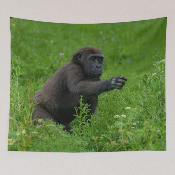 Item preview, Gorilla Reaching Out designed and sold by rawshutterbug.