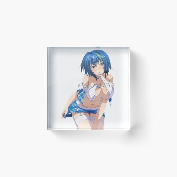 Hot Xenovia Highschool Acrylic Block
