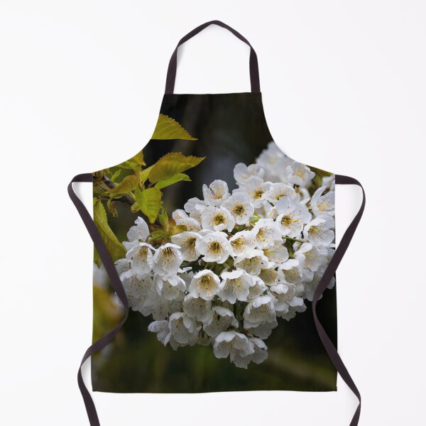 Item preview, Japanese Cherry blossom in a shaft of light designed and sold by Violaman.