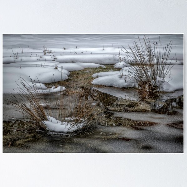 Item preview, Frozen Pond designed and sold by sandraanderson.