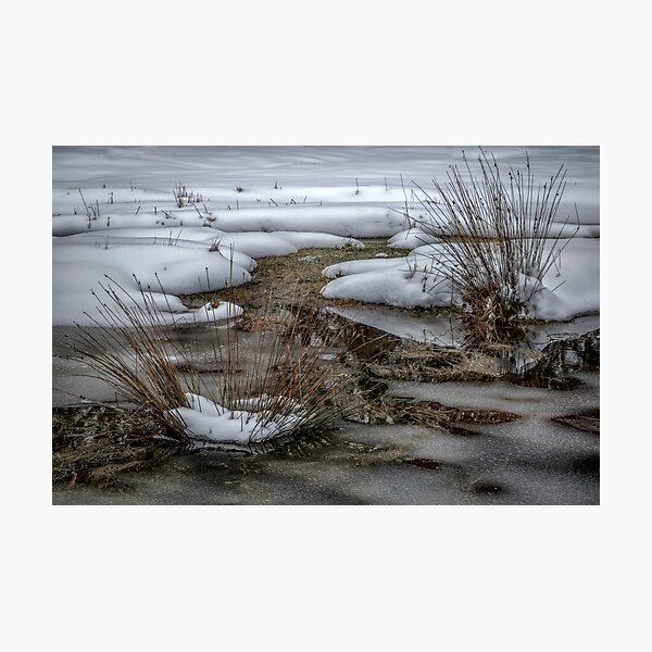 Item preview, Frozen Pond designed and sold by sandraanderson.