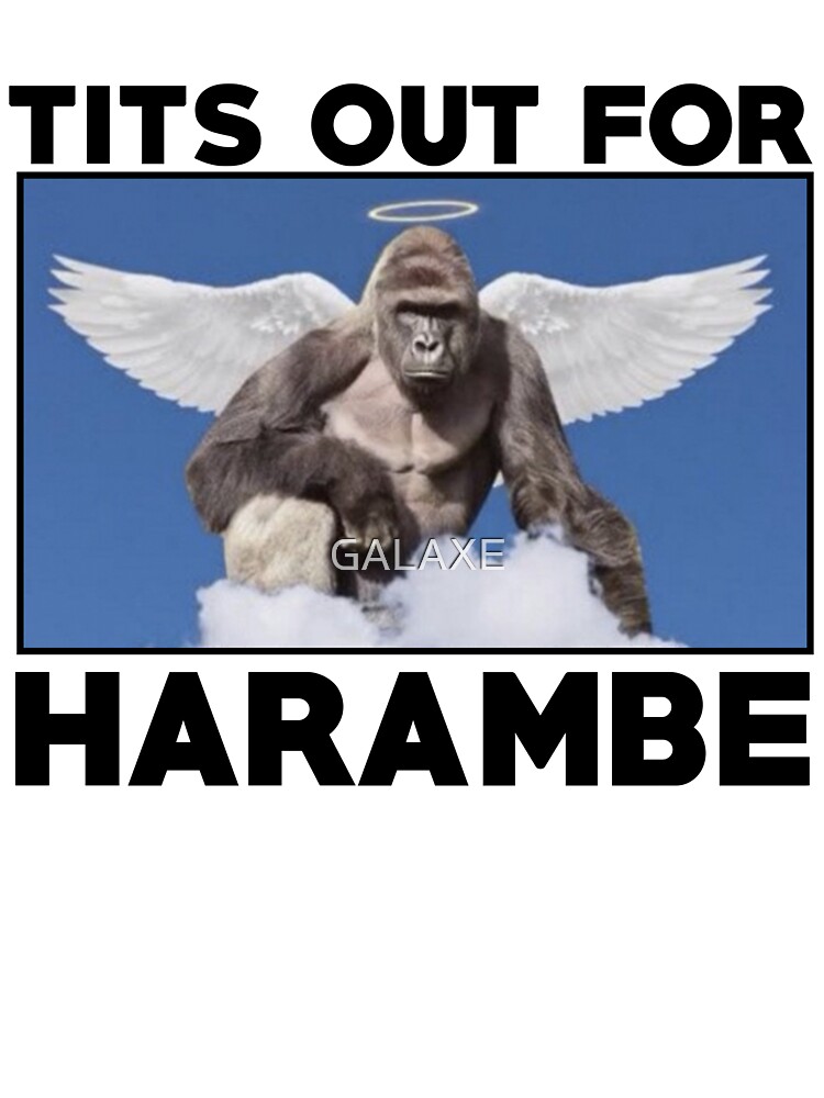 Tits Out For Harambe Kids T Shirt By Galaxe Redbubble - roblox harambe